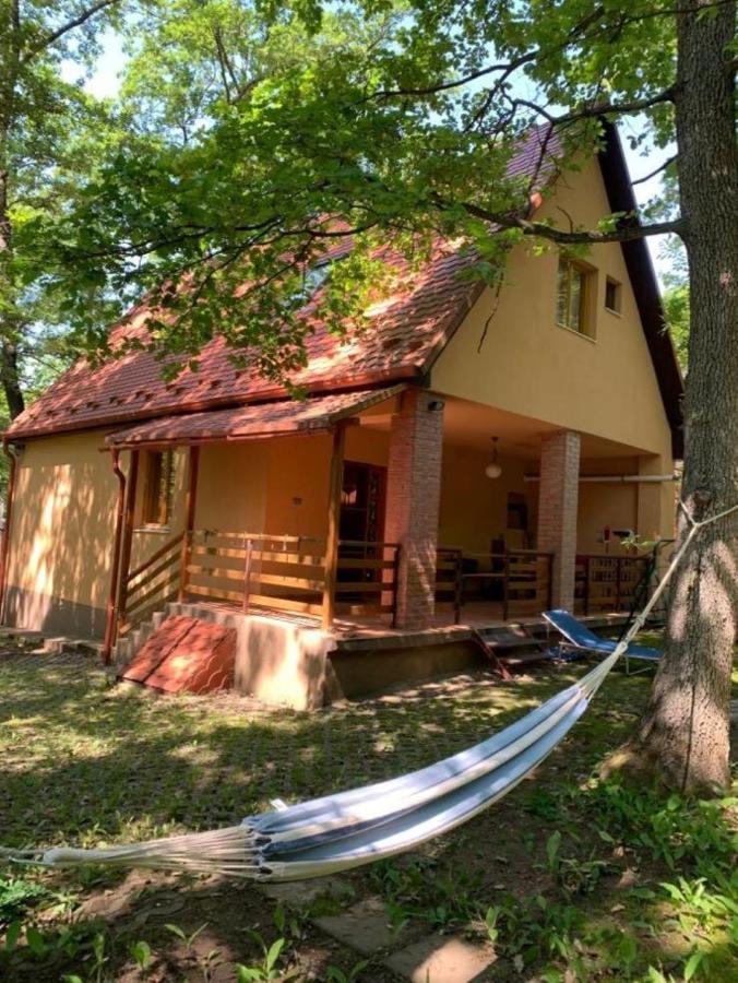 Gyoengyvirag Vendeghaz Villa Noszvaj Eksteriør billede